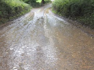 Worcestershire was also wet underfoot