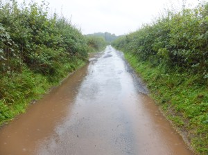 The Road in Herefordshire